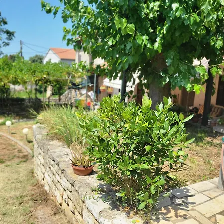 Olive And Herb Retreat Ii *
