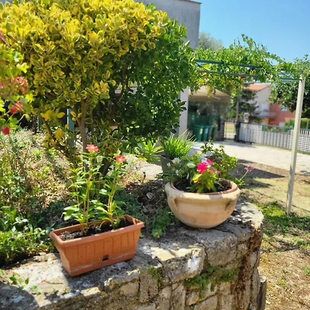 Olive And Herb Retreat Ii * Valtura